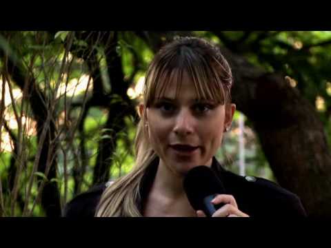 Moda Militar - Parte I