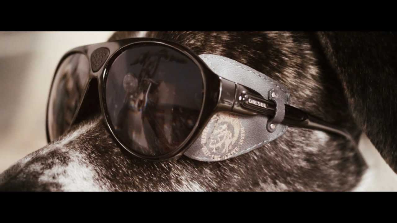 Dogs with Sunglasses - Diesel Summer 2012 Collection