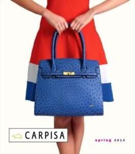 bolsos_carpisa