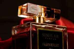 Similar Parfum ofrece los perfumes de lujo perfectos para regalar en Navidad a precios económicos